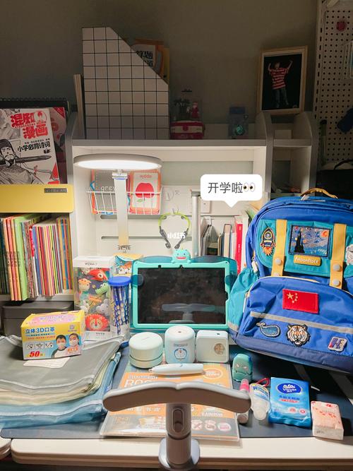 家有小学生 一场爱与智慧的修行